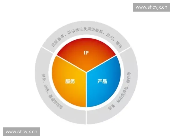 体育订阅制驱动下的内容变现模式与用户增长新趋势研究探索