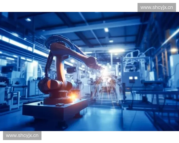 体育粉丝经济驱动下的产业链发展与未来趋势分析