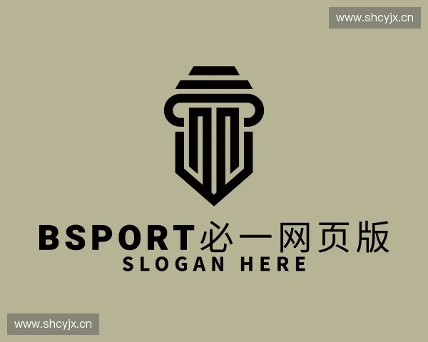 了解BSport必一网页版
