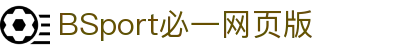 必一(运动科技有限公司)官方网站-B·Sport